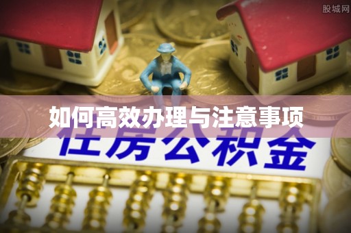 鹿港如何高效办理与注意事项