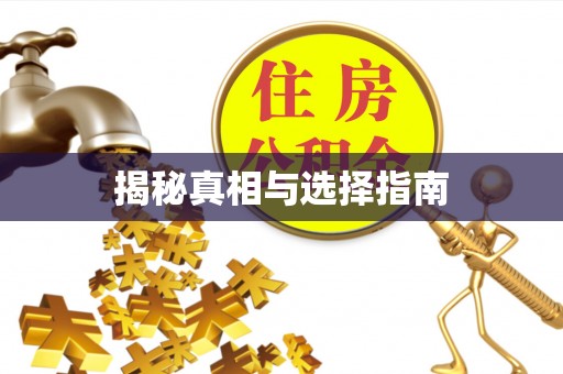 鹿港揭秘真相与选择指南