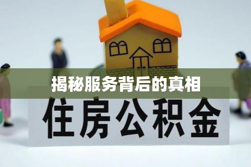 鹿港揭秘服务背后的真相