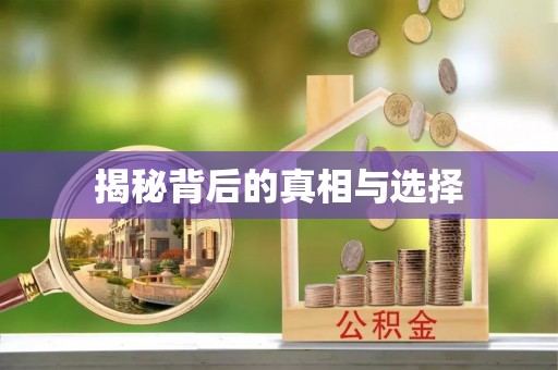 鹿港揭秘背后的真相与选择