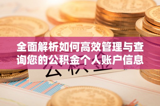 鹿港全面解析如何高效管理与查询您的公积金个人账户信息
