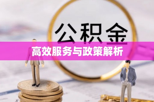 鹿港高效服务与政策解析