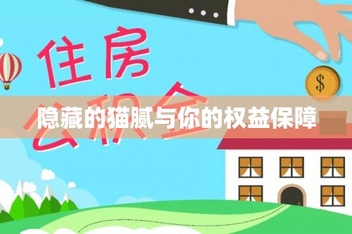 鹿港隐藏的猫腻与你的权益保障