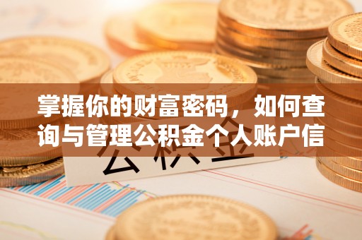 鹿港掌握你的财富密码，如何查询与管理公积金个人账户信息
