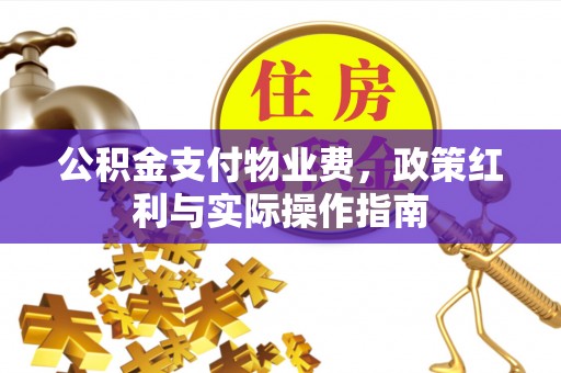 鹿港公积金支付物业费，政策红利与实际操作指南