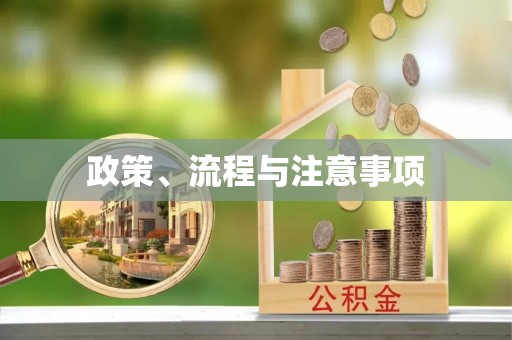 鹿港政策、流程与注意事项