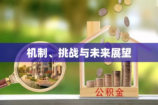 鹿港机制、挑战与未来展望